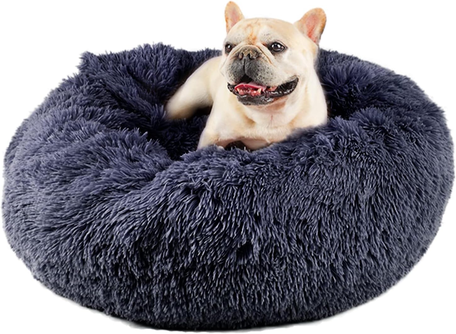 Himax Medium Dog Bed with Blanket for Cozy Pet Retreat