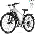 TST Electric Bike for Adults: Peak 1000W Motor & 60+ Miles
