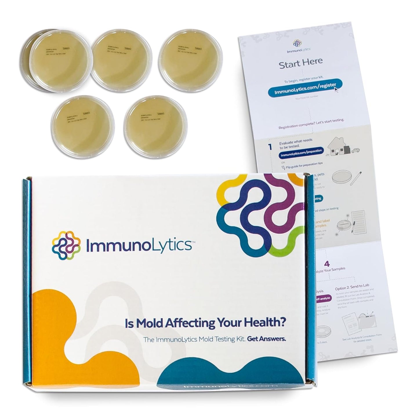 Mold Test Kit for Home - 6 Simple DIY Mold Detection Tests