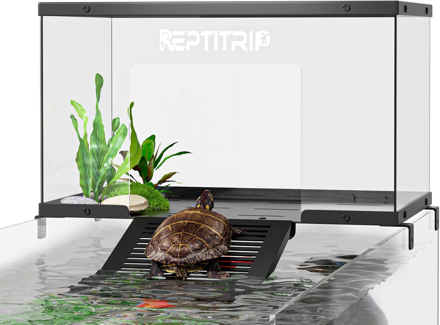 Turtle Basking Platform & Dock for 10-13 Inch Aquariums