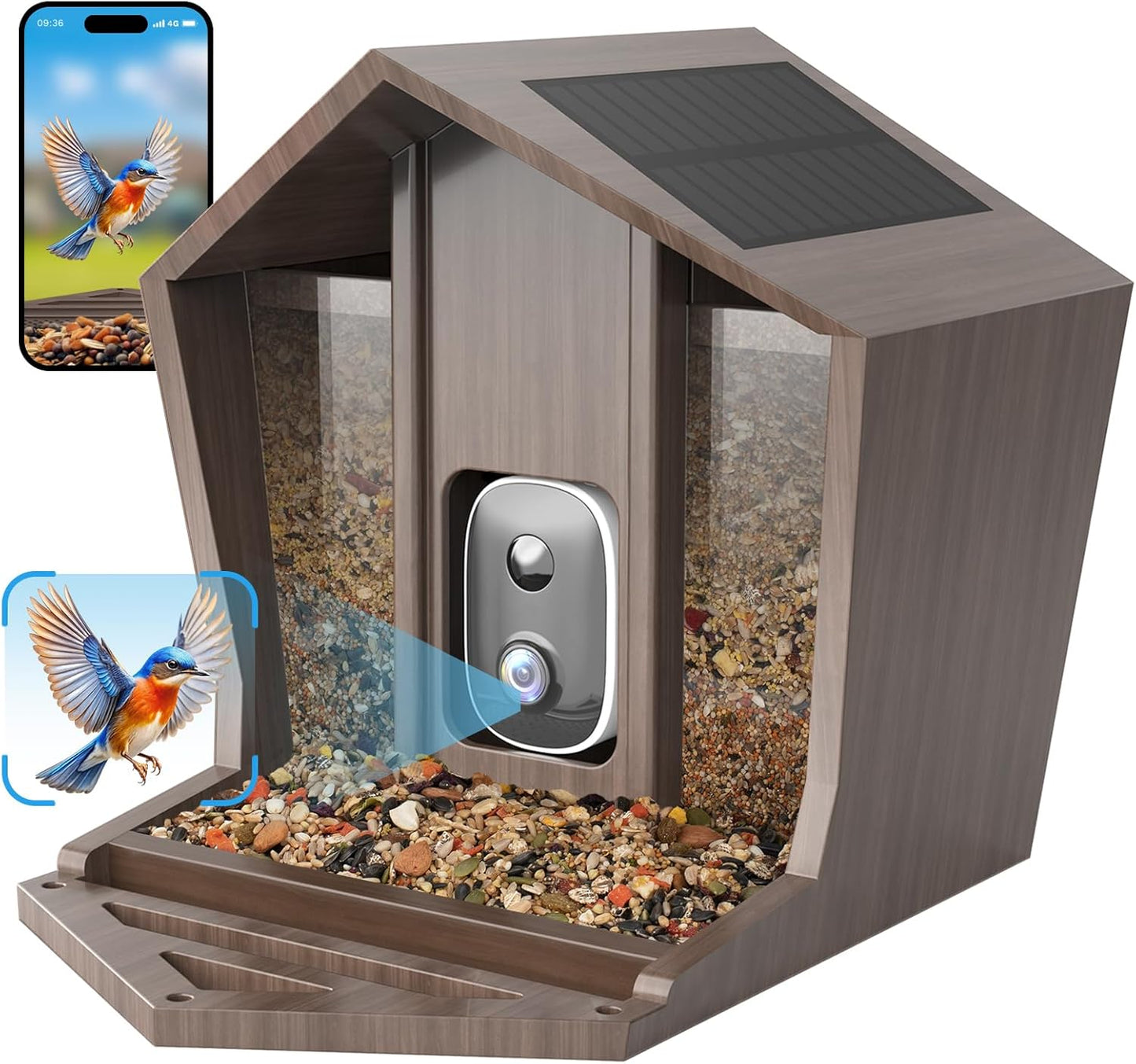 AI Bird Camera Feeder - 2.5K HD, Solar Powered, Motion Detection