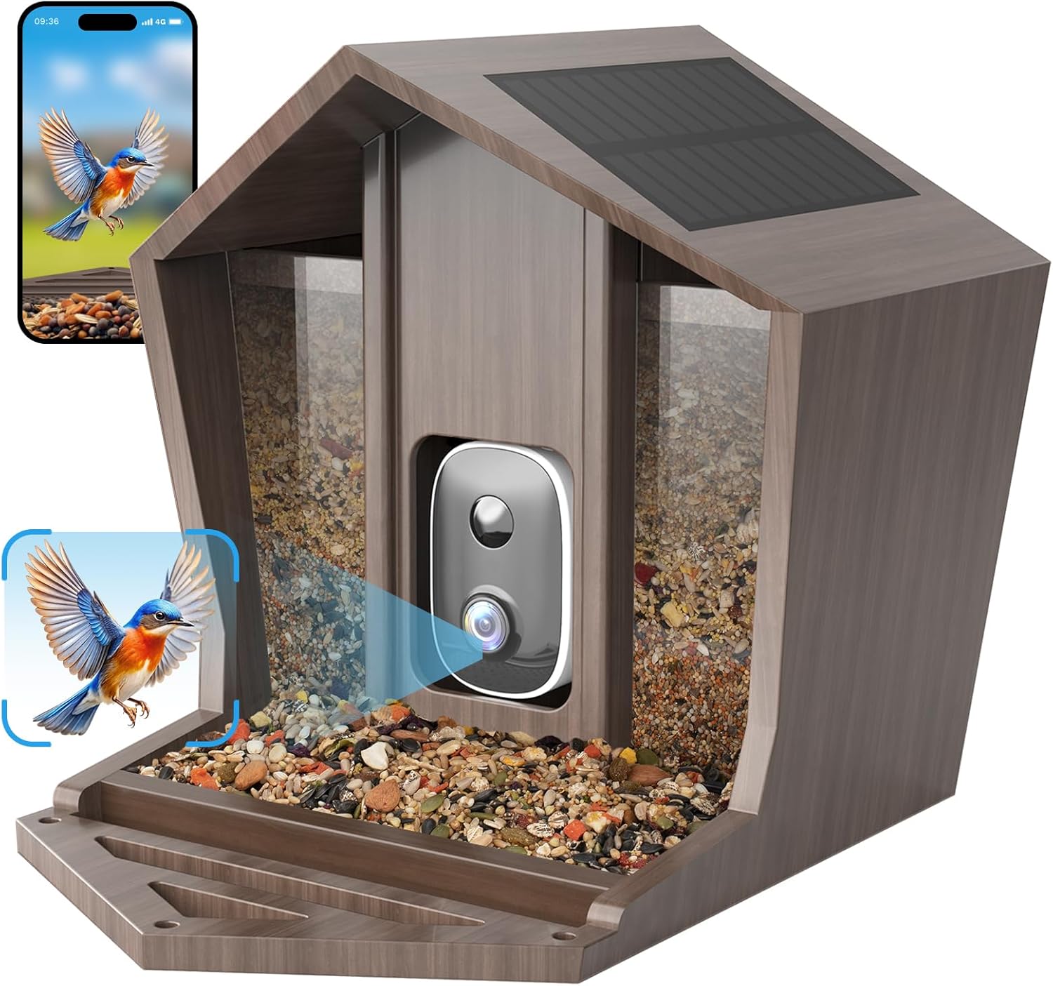 Smart Solar Bird Feeder with HD Camera - Identify 12000+ Birds!