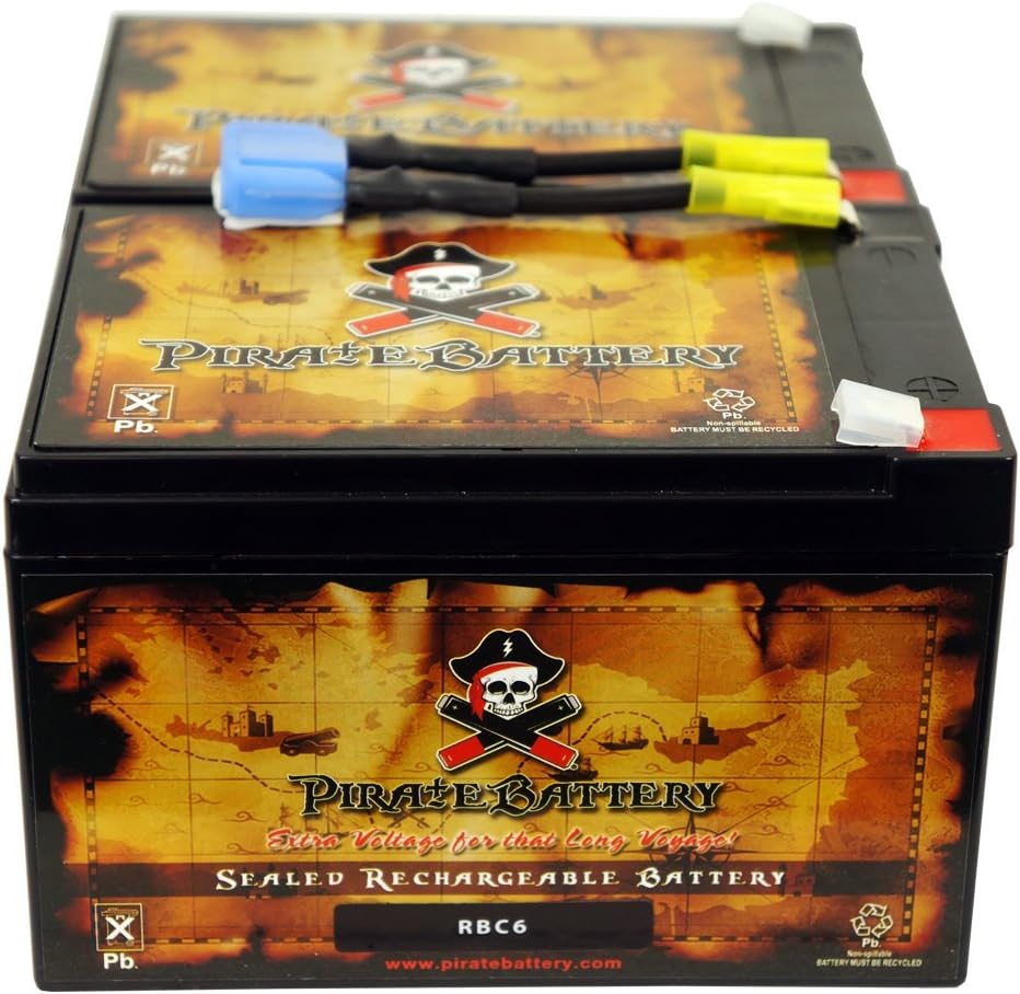 RBC6 UPS Complete Replacement Battery Kit for SU1000NET Review