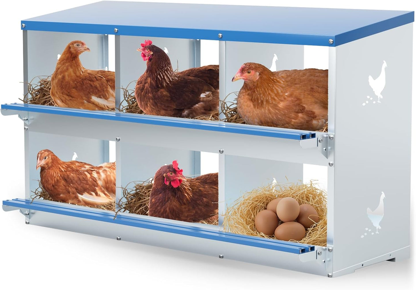 Chicken Nesting Box with 6 Compartments for Easy Egg Collection