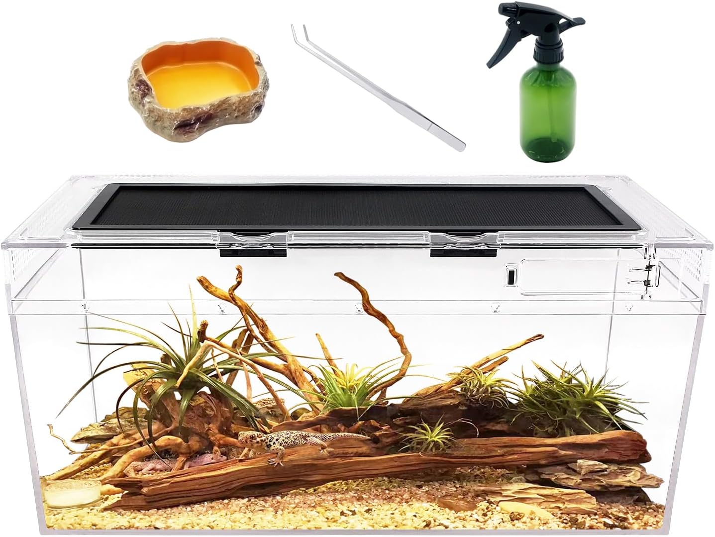 Reptile PC Terrarium Set for Iguanas, Tortoises and More
