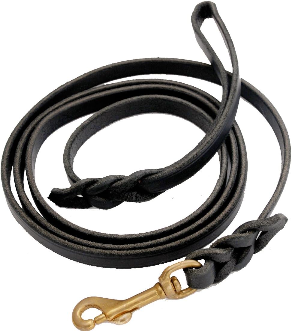 Ray Allen Mfg Signature K9 Braided Leather Leash for Dogs