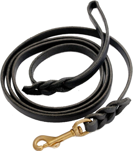 Ray Allen Mfg Signature K9 Braided Leather Leash for Dogs
