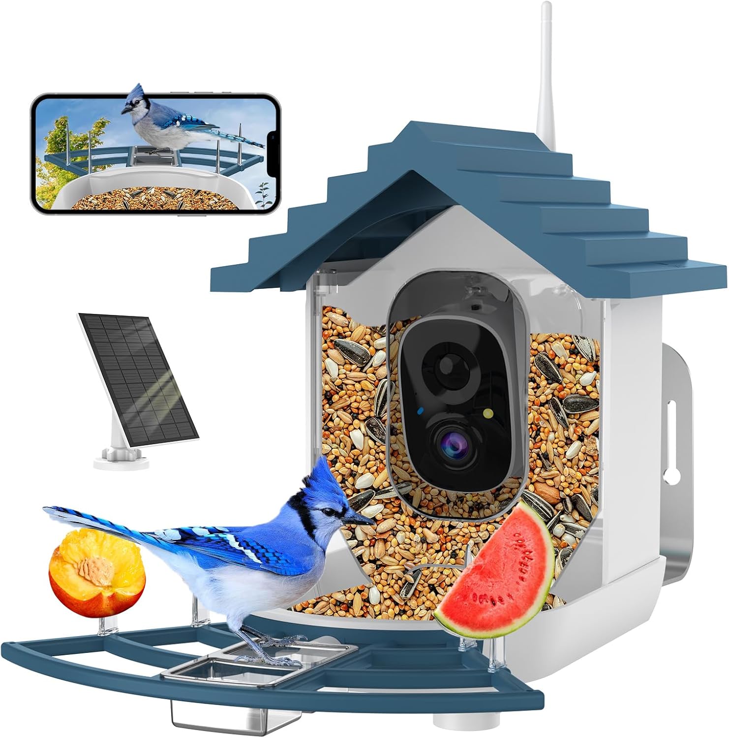 Bird-Watching Delight: Vatjubi Solar Feeder