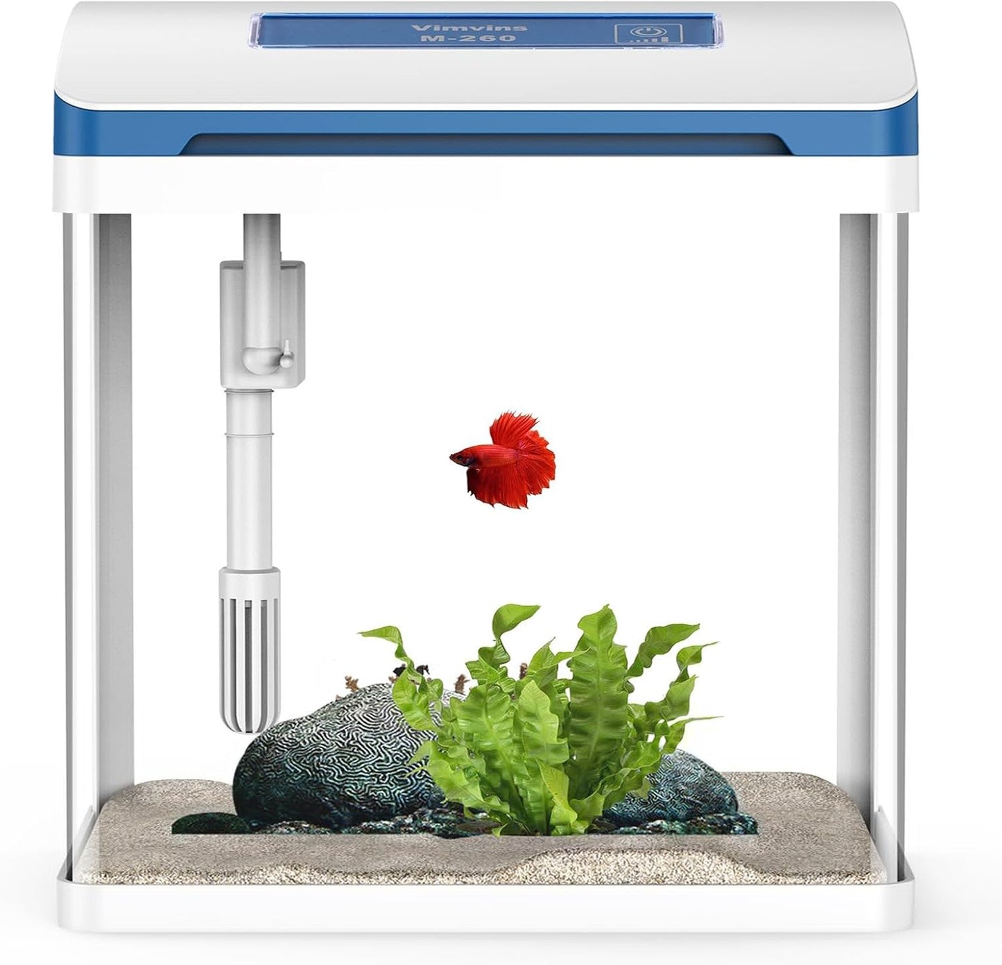Betta Fish Tank 5 Gallon Glass Aquarium Starter Kit with Light
