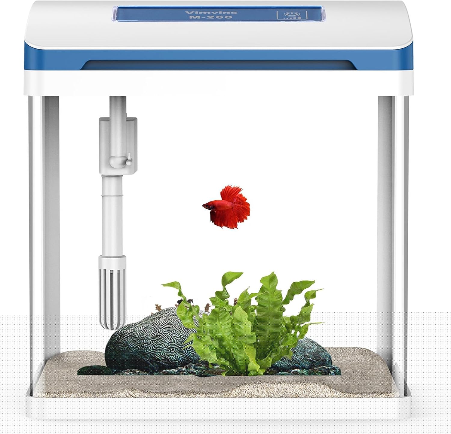 Betta Fish Tank 5 Gallon Glass Aquarium Starter Kit with Light