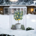 PVC Clear Plant Covers Freeze Protection - 30L x 30W x 44.5H