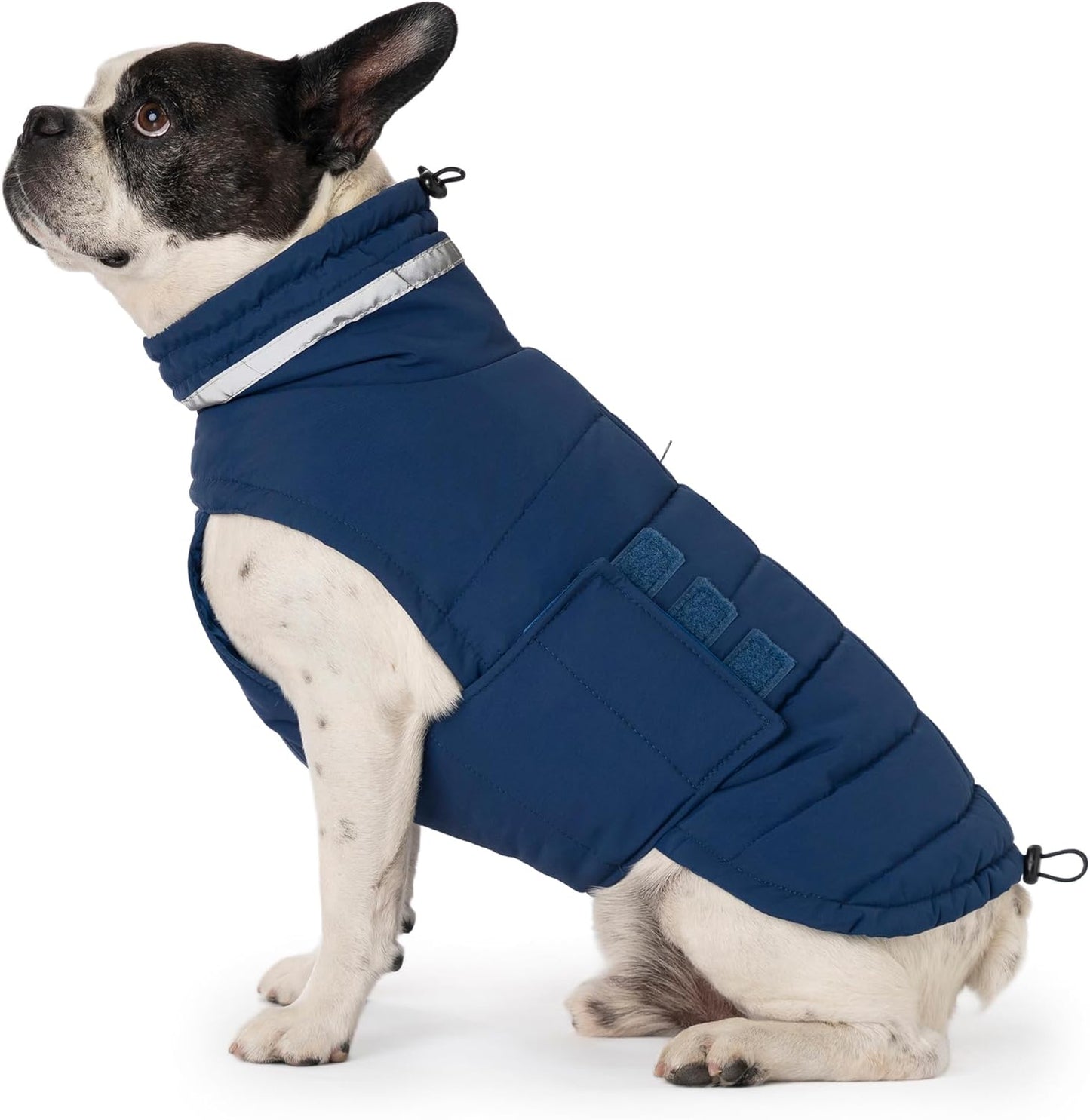 Dog Coat Waterproof Winter Jacket for Medium Dogs - Blue