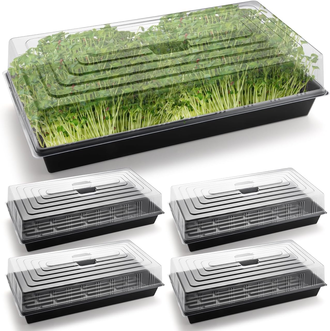 5-Pack 1020 Seed Trays with Humidity Domes for Gardening