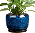 SQOWL Ceramic Planter 8 Inch for Indoor Outdoor Plants