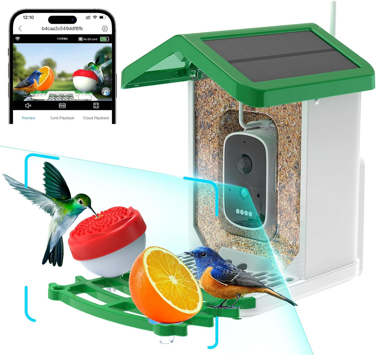 Smart Bird Feeder with Camera, AI Identify, Solar Powered, 1080P Video