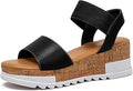 katliu Women's Wedge Platform Sandals - Comfortable Elastic Ankle