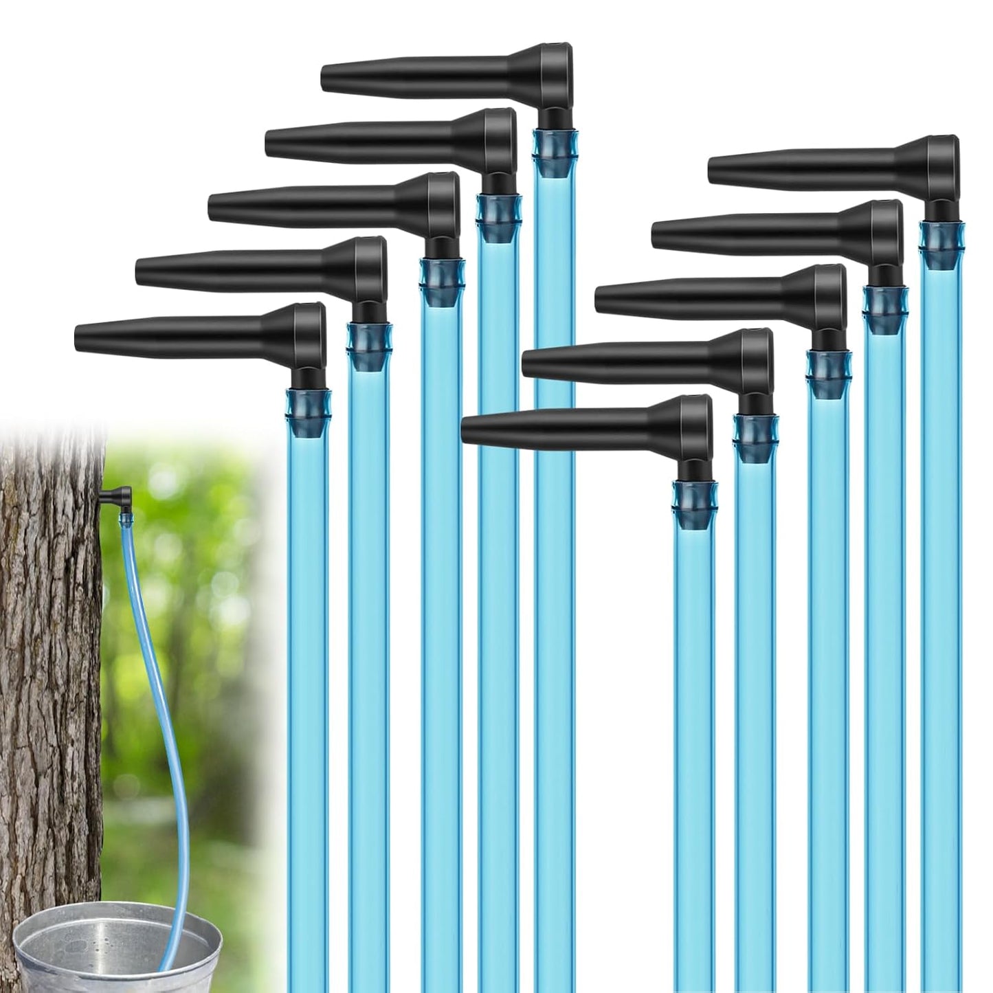 Maple Syrup Tapping Kit - Easy Sugaring Start