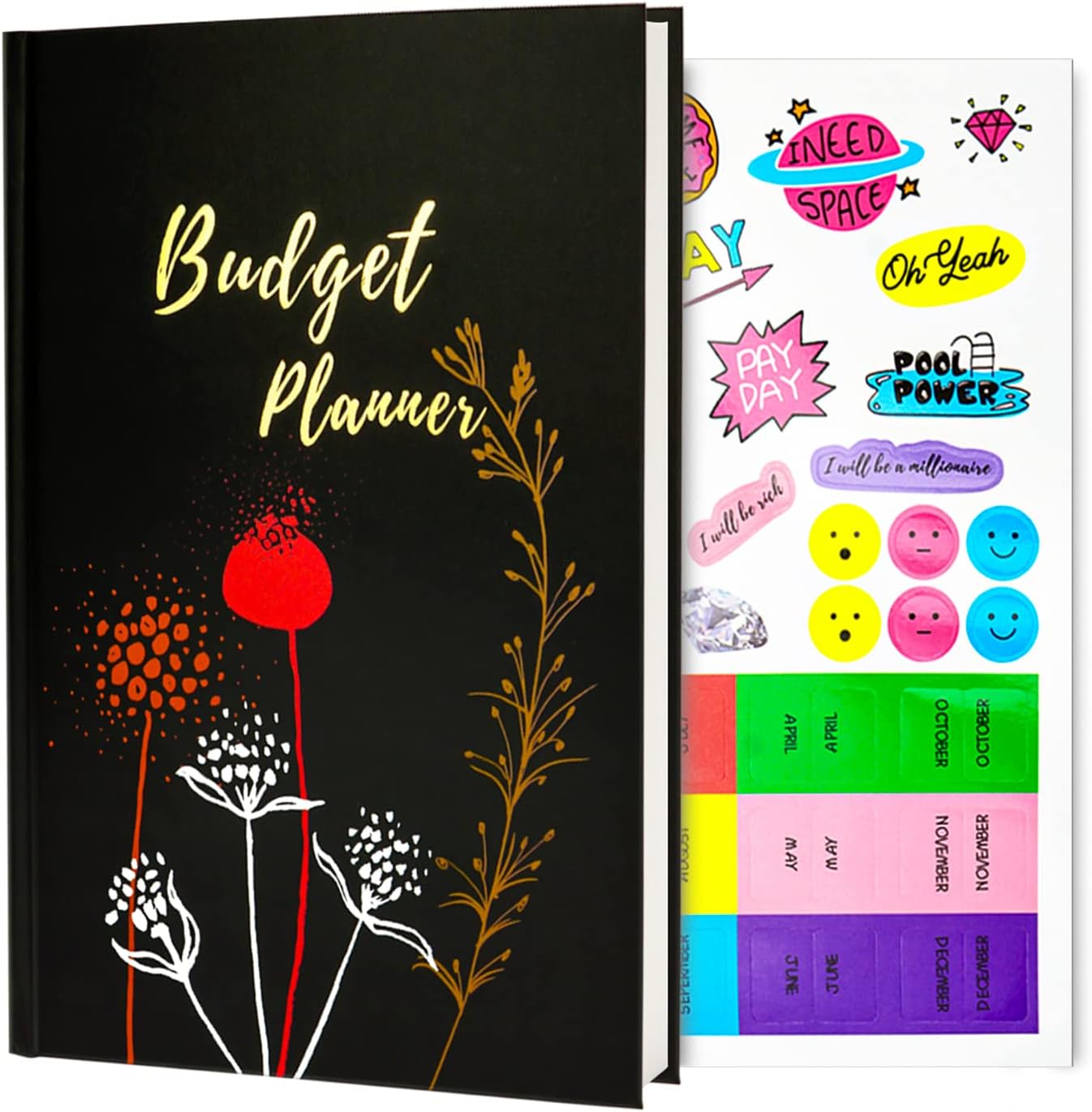 LLi Cufite Budget Planner: Optimize Finances!