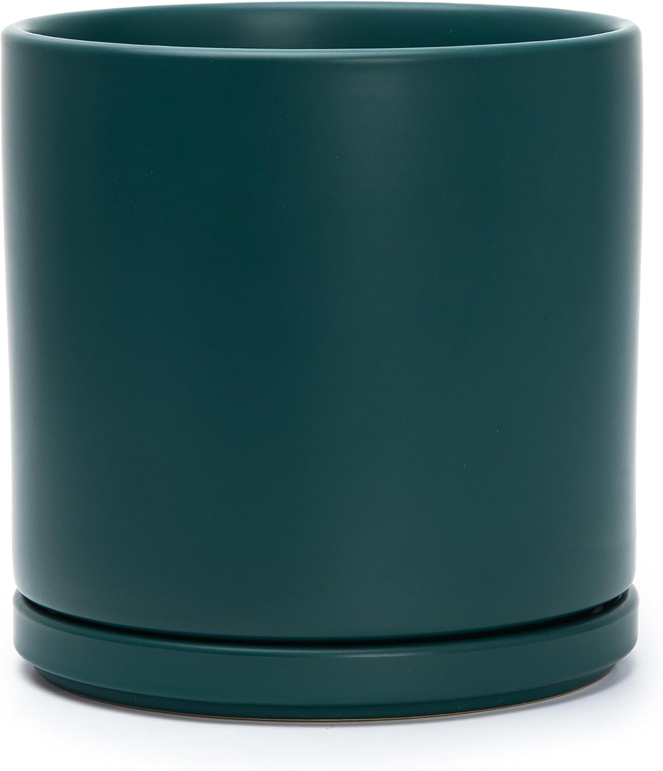 D'vine Dev 8 Inch Ceramic Planter Pot with Drainage Hole