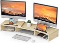 Dual Monitor Stand for 2 Monitors - Adjustable Riser with Big Storage