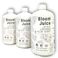 Bloom Juice for All Flowering Plants (3 Bottles) - Organic Growth
