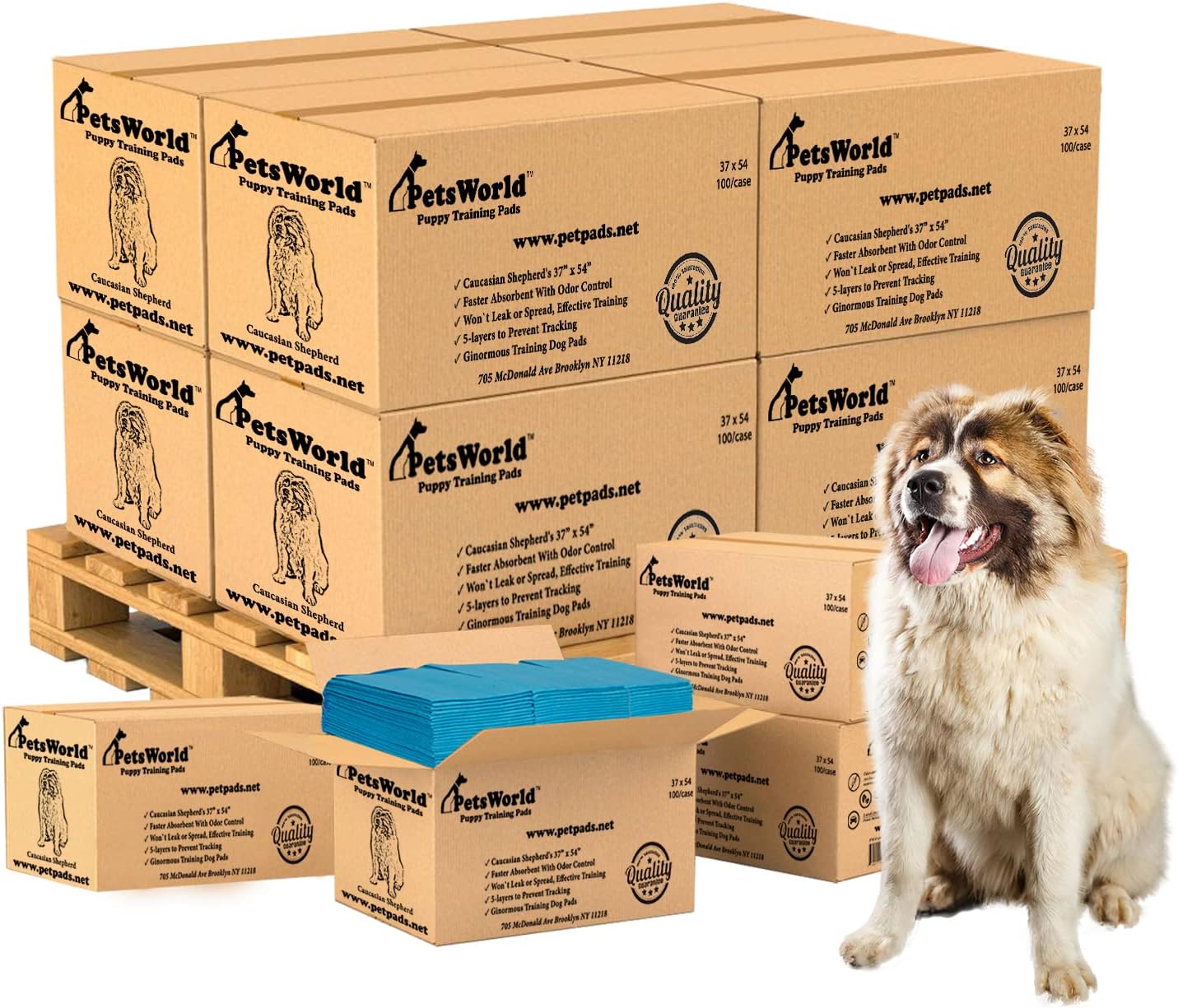 PETSWORLD Enormous Dog Training & Potty Pads for All Pets