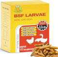 11LB Dried Black Soldier Fly Larvae - High Calcium Chicken Feed