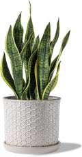 8 Inch Plant Pot Ceramic Planter with Drainage Hole & Saucer