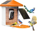 Bird Feeder with Camera with AI Identify Birds Species - Live View