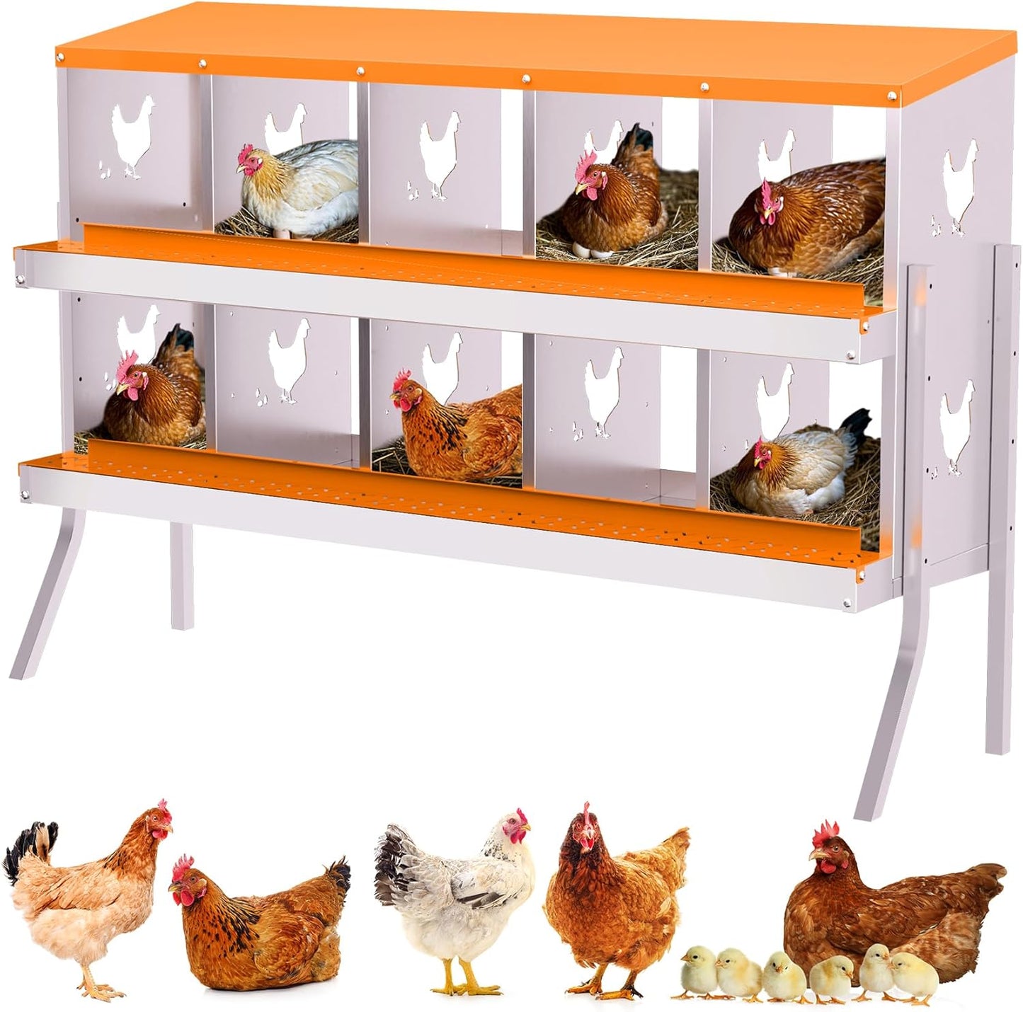 Galvanized Steel Chicken Nesting Boxes for Easy Egg Collection