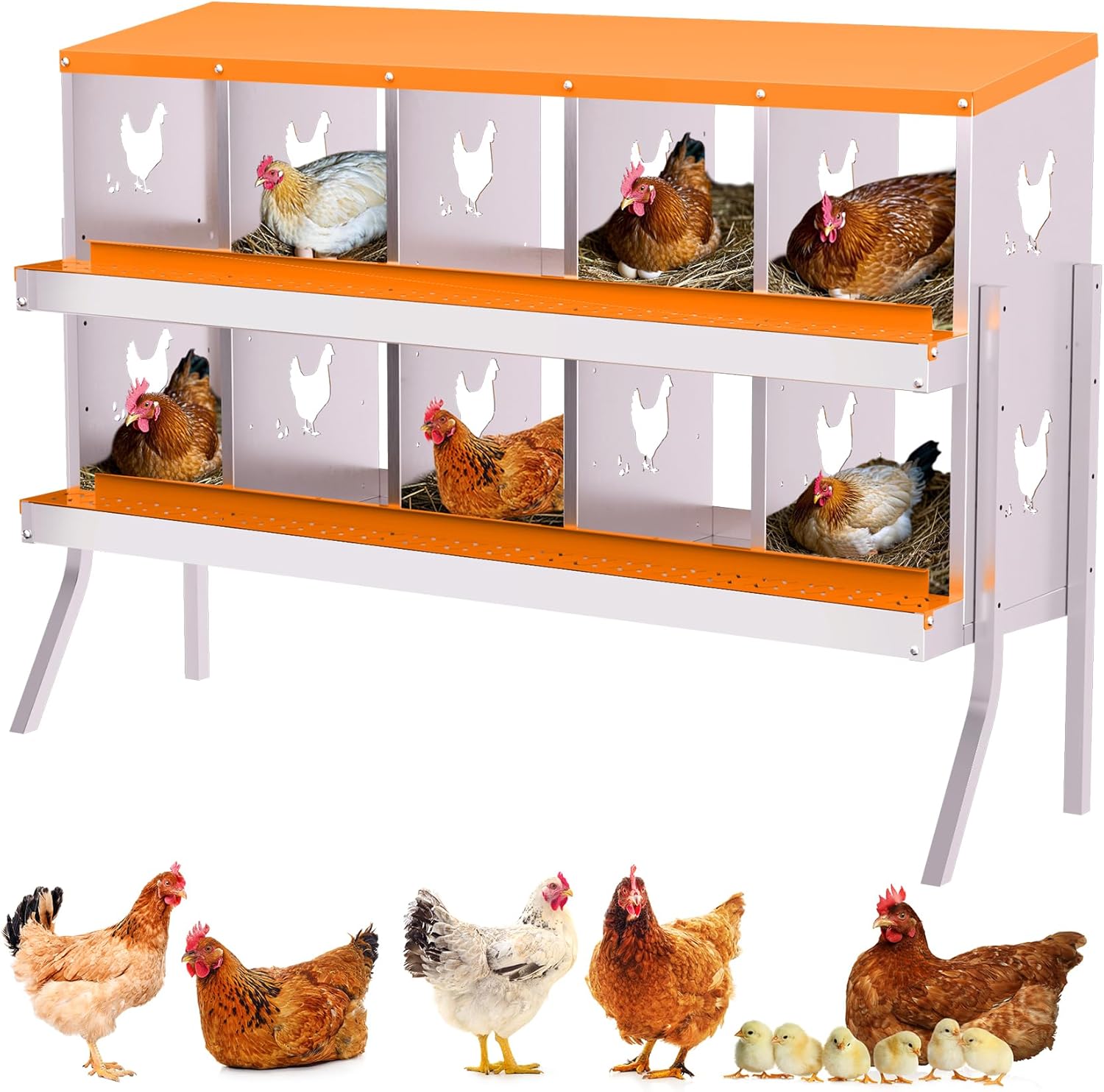 Galvanized Steel Chicken Nesting Boxes for Easy Egg Collection