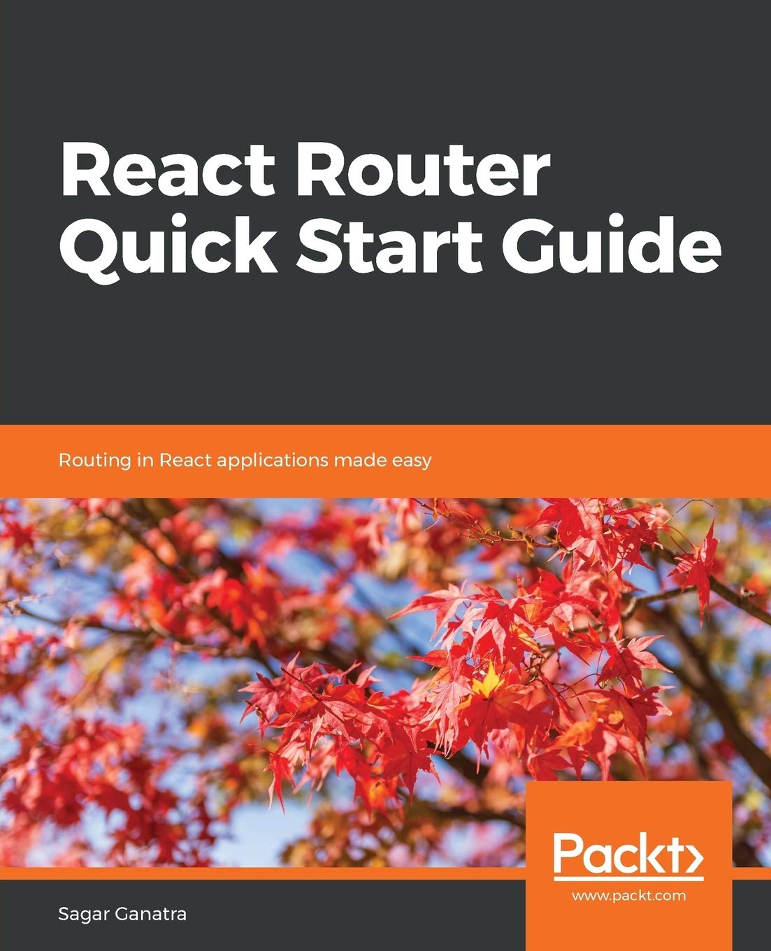 React Router Quick Start Guide: Master Routing in React Apps