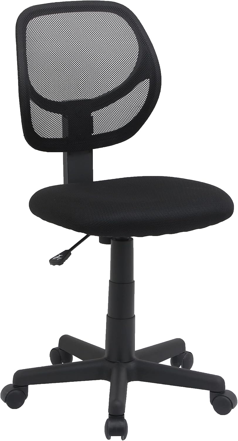 Comfort & Functionality:  Basics Mesh Desk Chair