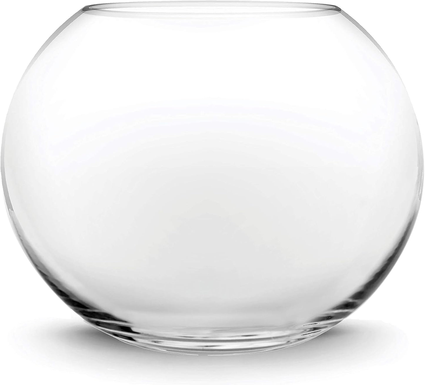 CYS EXCEL Large Glass Bubble Bowl for Terrariums and Events