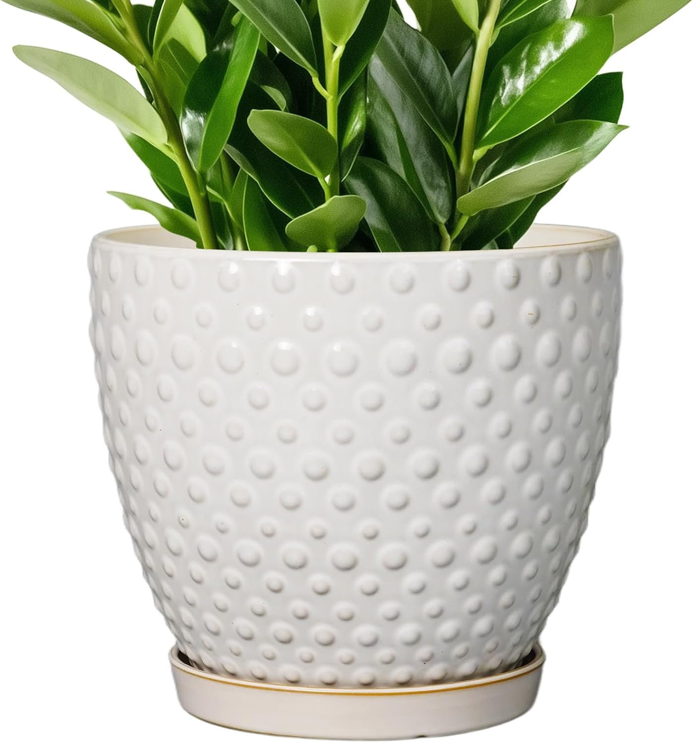 10 Inch Ceramic Plant Pot with Drainage for Indoor Outdoor Use
