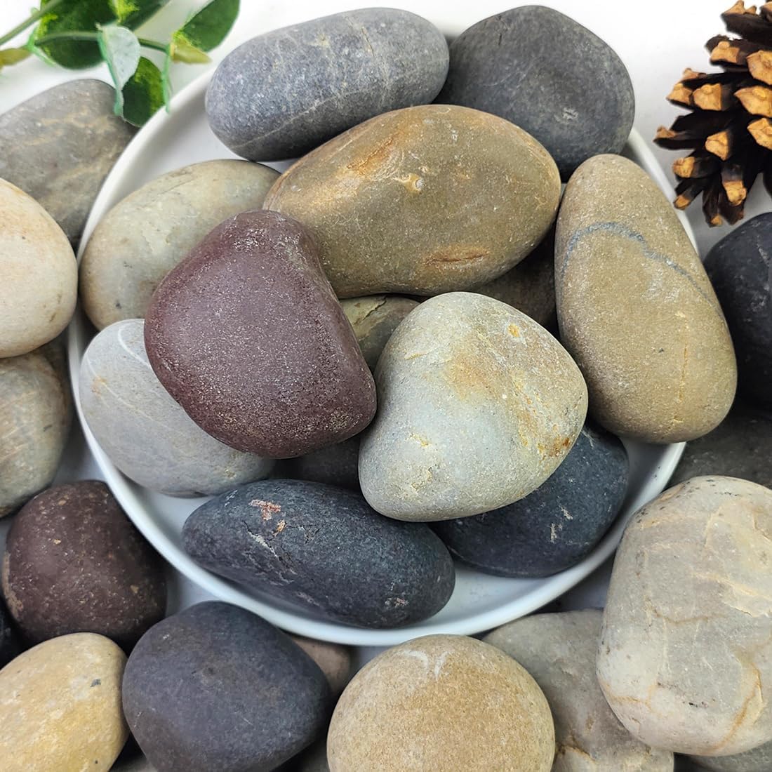20lbs Natural River Rocks for Garden and Landscape Design