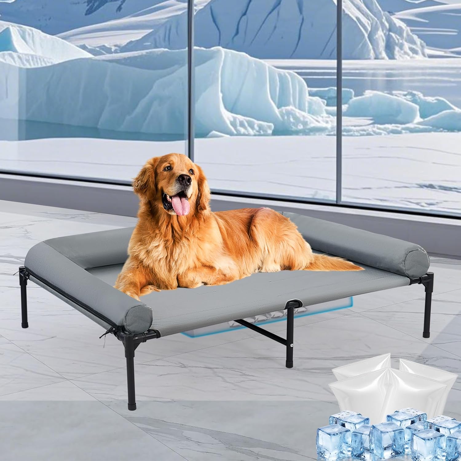 Outdoor Elevated Dog Bed with Pillow for Medium Large Dogs