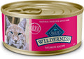 Blue Buffalo Wilderness Grain-Free Salmon Pate Wet Cat Food - High