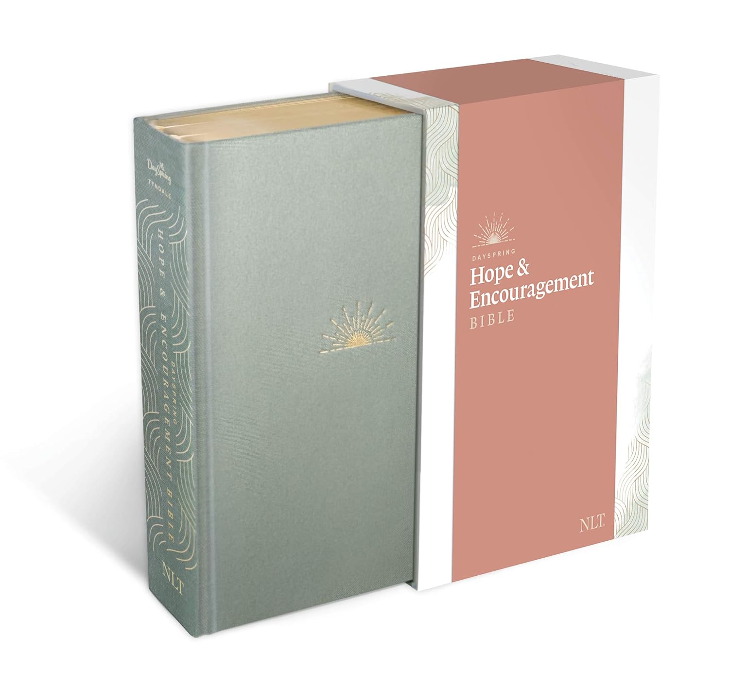 NLT DaySpring Hope & Encouragement Bible in Seafoam Green Cover