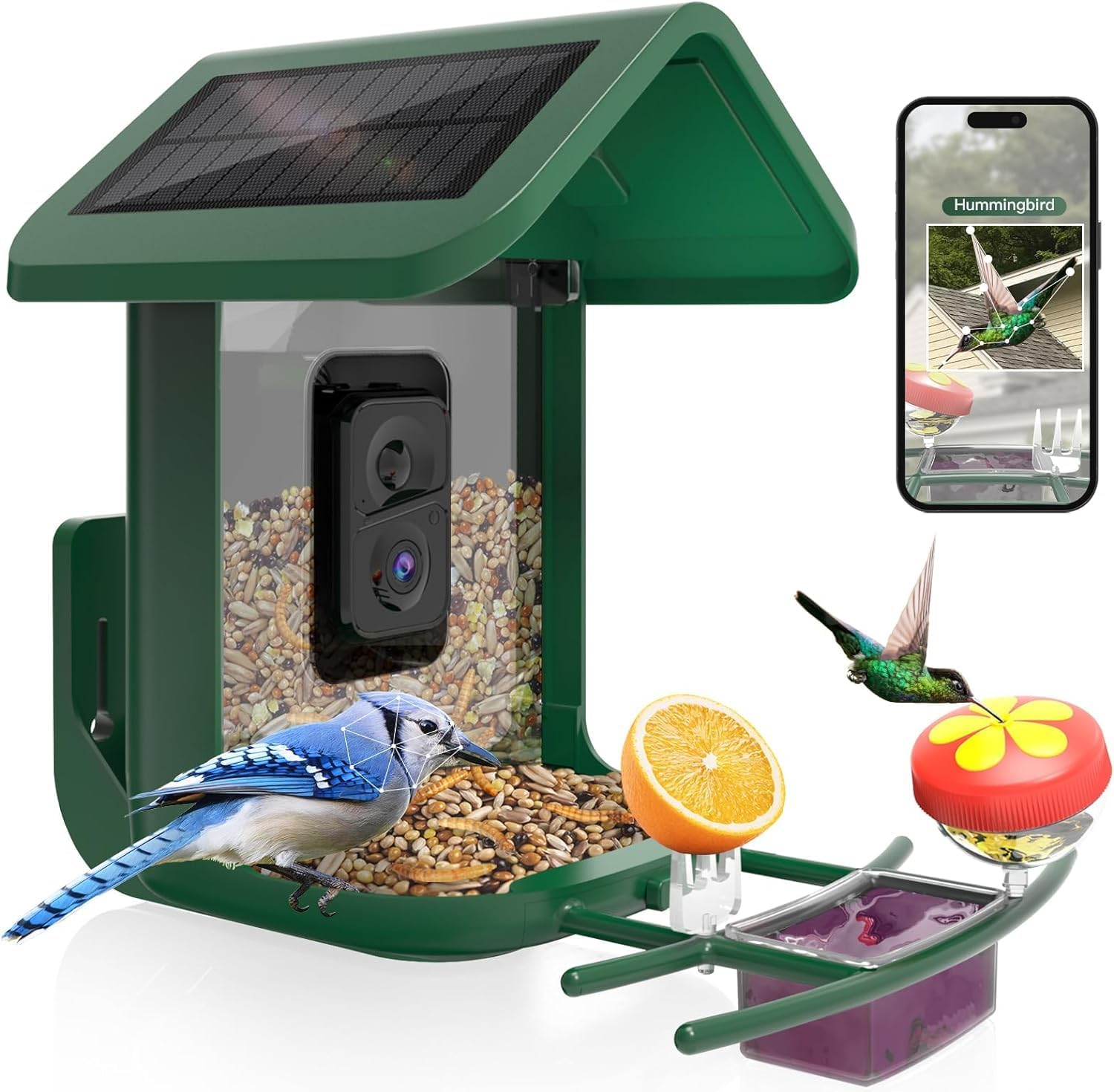 Smart Solar Bird Feeder: AI Camera 2K Live Feed - Capture Bird Moments!