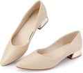Women's Chunky Closed Toe Low Block Heels Work Pumps (Style TGNJ)
