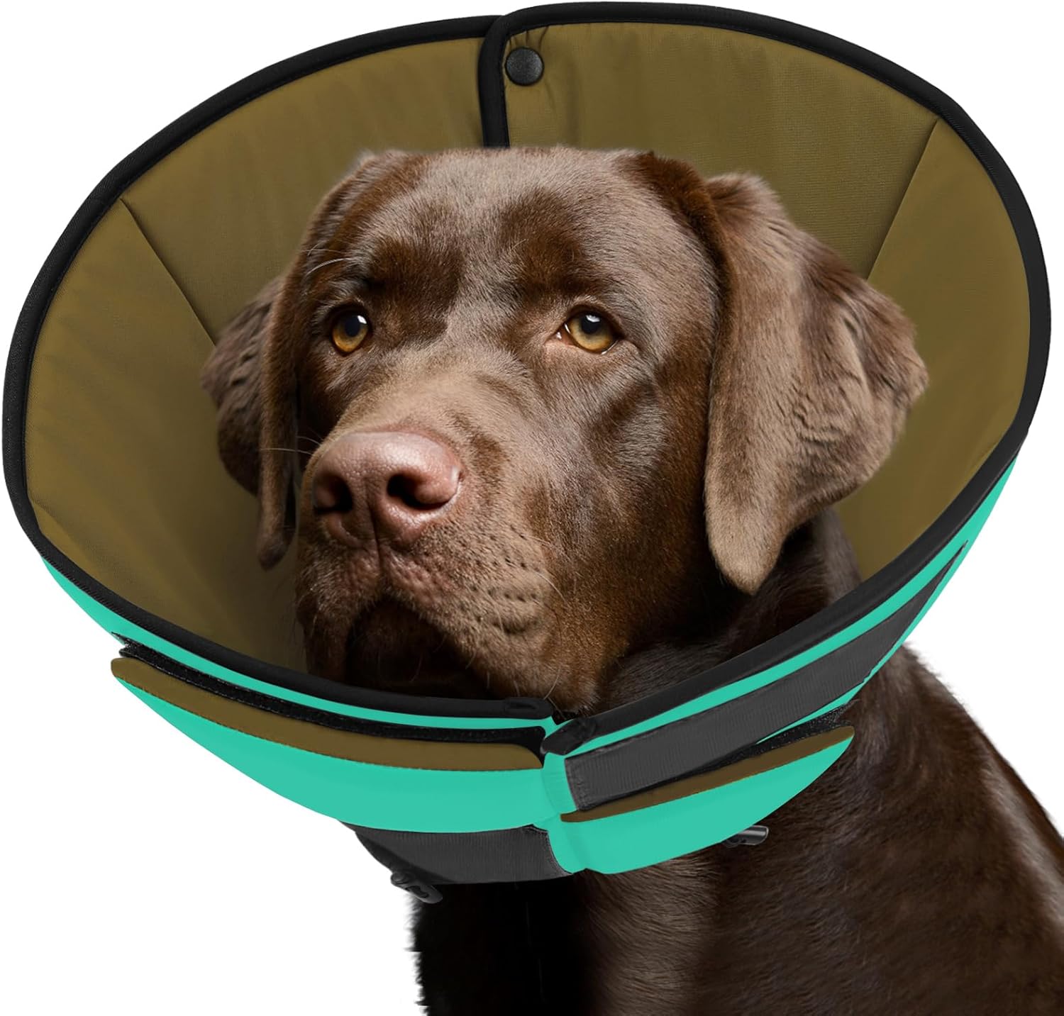 Queenmore Dog Cone for Large Dogs - Soft Adjustable E-Collar
