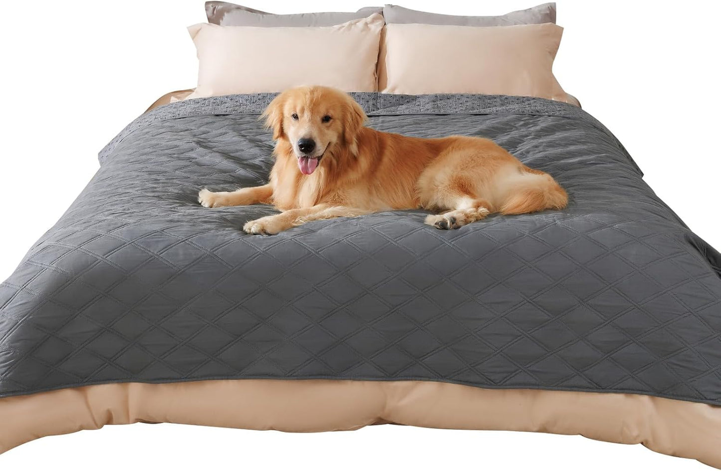 100% Waterproof Couch Cover Blanket for Dogs and Pets