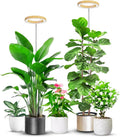 Grow Lights for Indoor Plants Full Spectrum Lamp - Height Adjustable