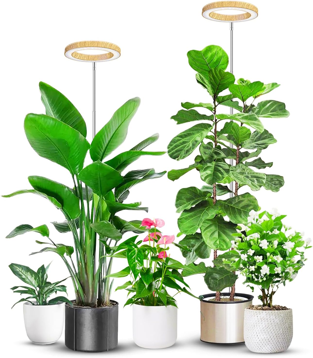 Grow Lights for Indoor Plants with Adjustable Height and Timer