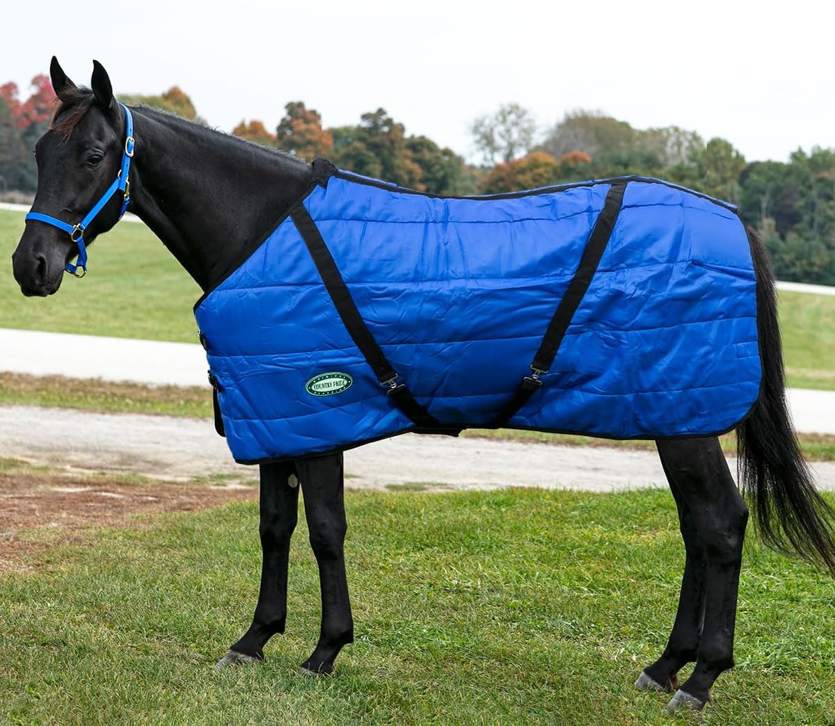 Country Pride Channel Quilt Stable Blanket for Ultimate Comfort