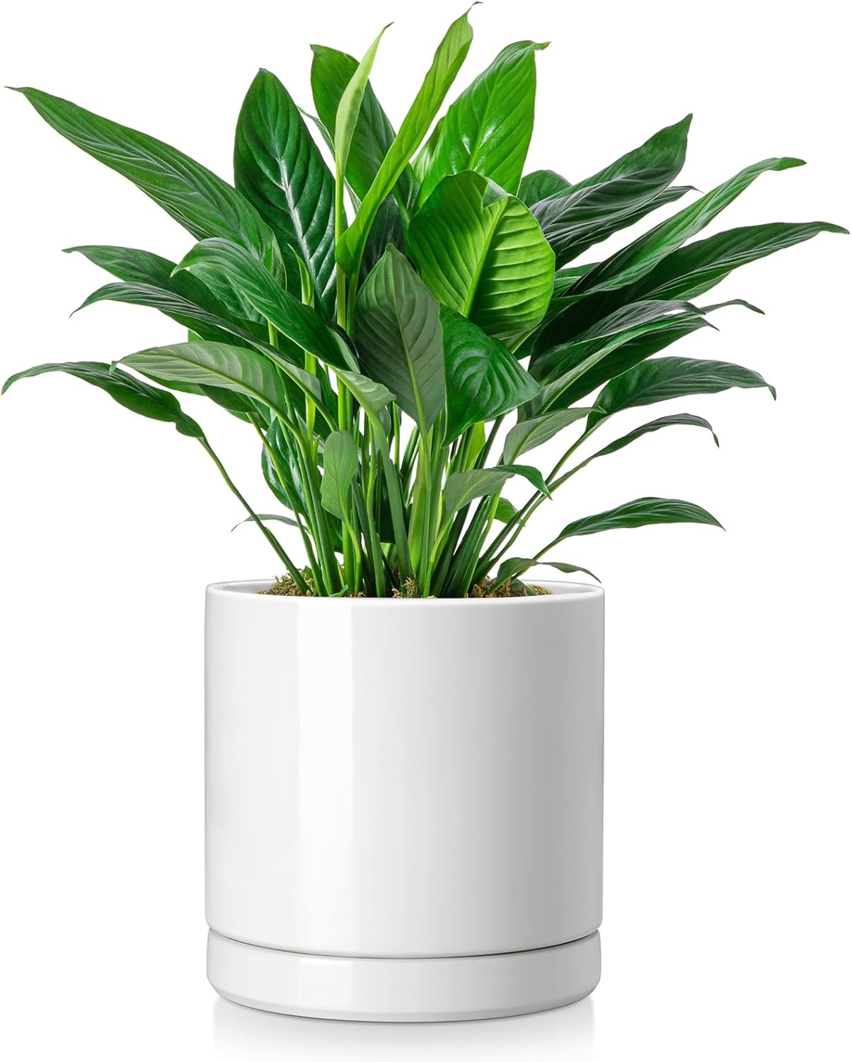 vancasso Ceramic Plant Pots for Indoor Plants with Drainage