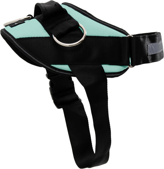 ShawnCo Essential Dog Harness for Easy Walking and Training