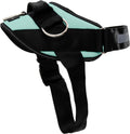 Seafoam Medium No-Pull Dog Harness - 3-Ring Adjustable Vest