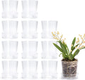 Transparent 3.5 Inch Acrylic Planter Pot Set for Indoor Plants